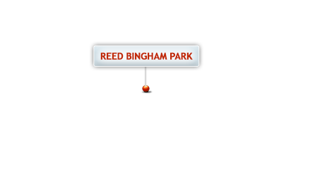 Reed Bingham